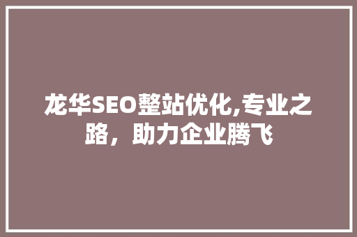 龙华SEO整站优化,专业之路，助力企业腾飞