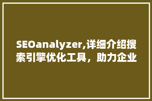 SEOanalyzer,详细介绍搜索引擎优化工具，助力企业提升网站排名  第1张