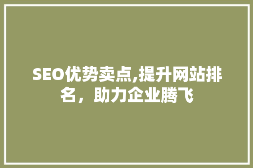 SEO优势卖点,提升网站排名，助力企业腾飞