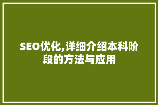 SEO优化,详细介绍本科阶段的方法与应用
