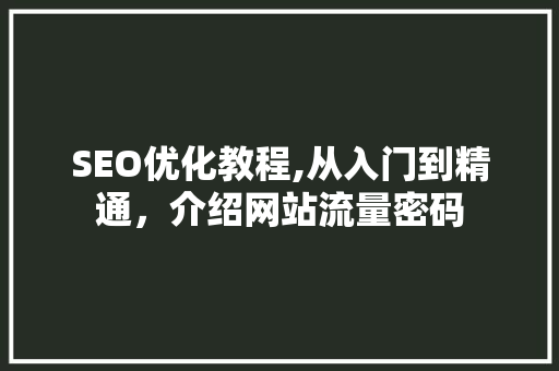 SEO优化教程,从入门到精通，介绍网站流量密码  第1张
