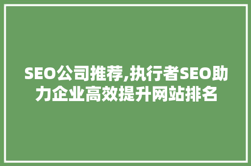 SEO公司推荐,执行者SEO助力企业高效提升网站排名  第1张