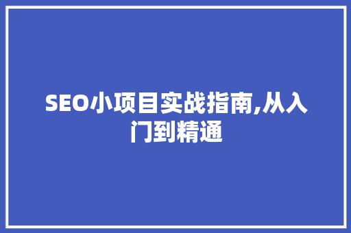 SEO小项目实战指南,从入门到精通