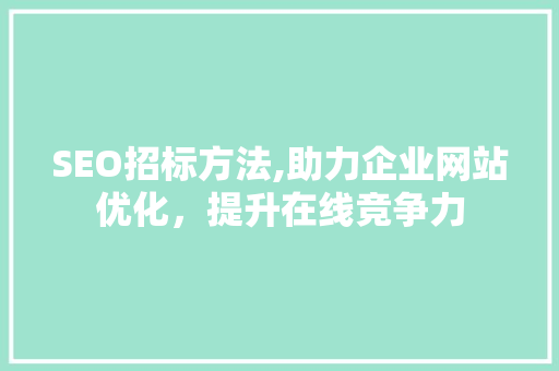 SEO招标方法,助力企业网站优化，提升在线竞争力