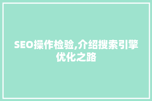 SEO操作检验,介绍搜索引擎优化之路
