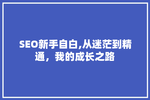 SEO新手自白,从迷茫到精通，我的成长之路