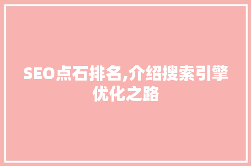 SEO点石排名,介绍搜索引擎优化之路