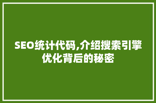 SEO统计代码,介绍搜索引擎优化背后的秘密