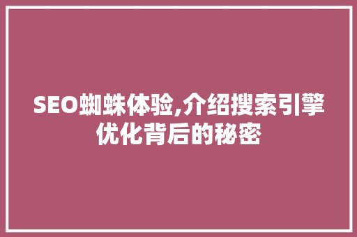 SEO蜘蛛体验,介绍搜索引擎优化背后的秘密