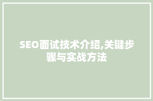SEO面试技术介绍,关键步骤与实战方法