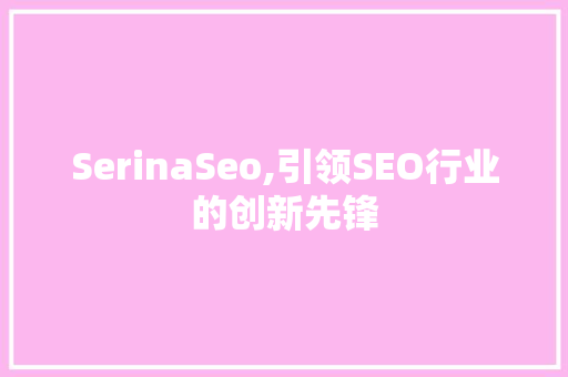 SerinaSeo,引领SEO行业的创新先锋