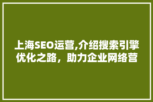 上海SEO运营,介绍搜索引擎优化之路，助力企业网络营销腾飞
