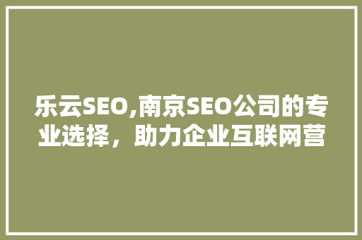 乐云SEO,南京SEO公司的专业选择，助力企业互联网营销腾飞