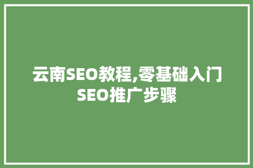 云南SEO教程,零基础入门SEO推广步骤