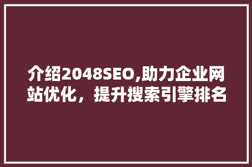 介绍2048SEO,助力企业网站优化，提升搜索引擎排名