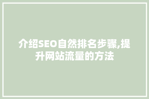 介绍SEO自然排名步骤,提升网站流量的方法