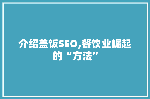 介绍盖饭SEO,餐饮业崛起的“方法”