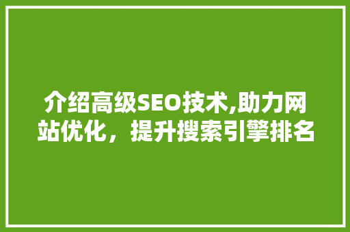 介绍高级SEO技术,助力网站优化，提升搜索引擎排名  第1张