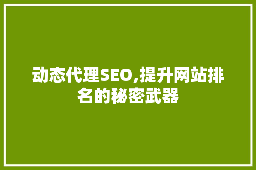 动态代理SEO,提升网站排名的秘密武器