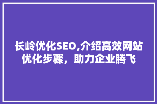 长岭优化SEO,介绍高效网站优化步骤，助力企业腾飞