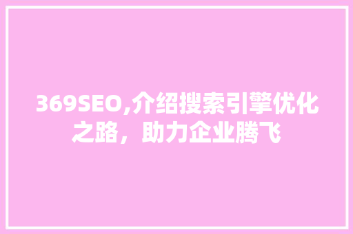 369SEO,介绍搜索引擎优化之路，助力企业腾飞