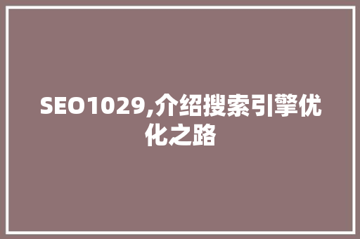 SEO1029,介绍搜索引擎优化之路  第1张