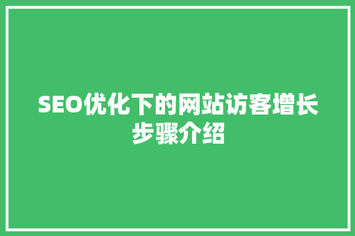 SEO优化下的网站访客增长步骤介绍  第1张