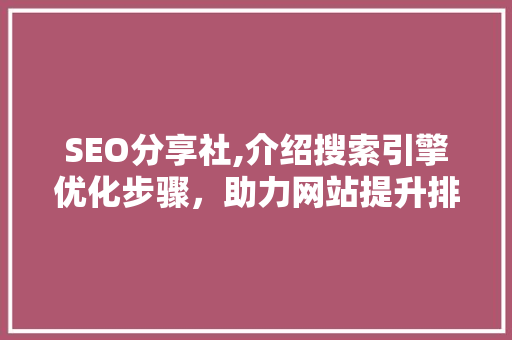 SEO分享社,介绍搜索引擎优化步骤，助力网站提升排名