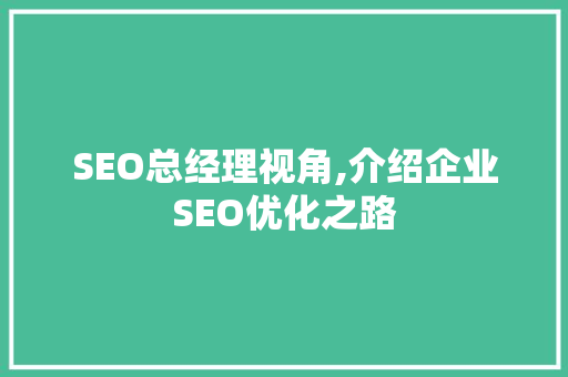 SEO总经理视角,介绍企业SEO优化之路