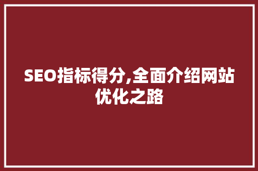 SEO指标得分,全面介绍网站优化之路  第1张