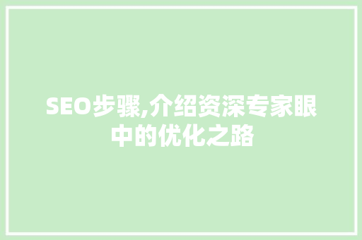 SEO步骤,介绍资深专家眼中的优化之路