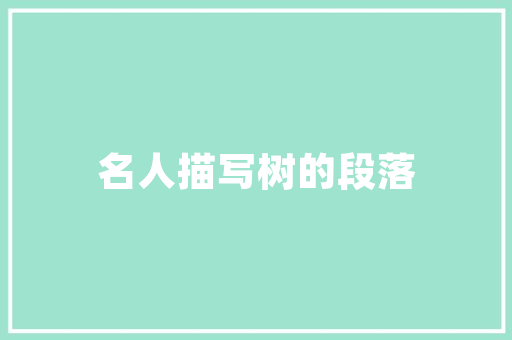 SEO爬虫流程介绍,从数据采集到内容优化的全介绍