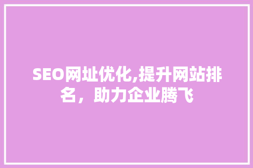 SEO网址优化,提升网站排名，助力企业腾飞  第1张