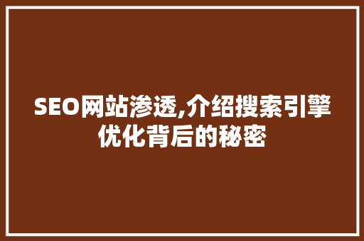 SEO网站渗透,介绍搜索引擎优化背后的秘密