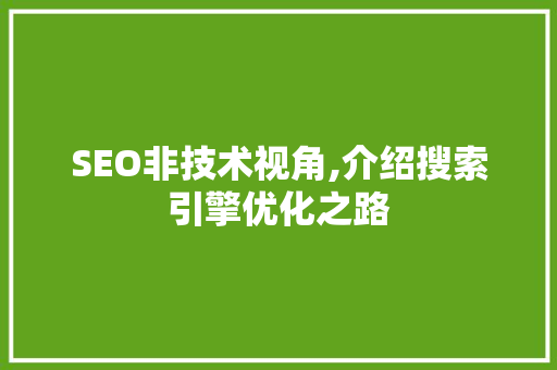 SEO非技术视角,介绍搜索引擎优化之路