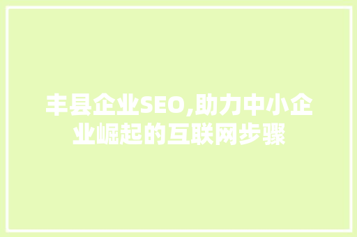 丰县企业SEO,助力中小企业崛起的互联网步骤