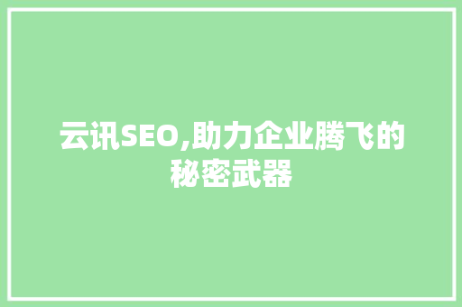 云讯SEO,助力企业腾飞的秘密武器