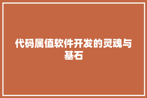 代码属值软件开发的灵魂与基石