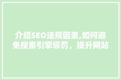 介绍SEO违规因素,如何避免搜索引擎惩罚，提升网站排名