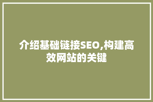 介绍基础链接SEO,构建高效网站的关键