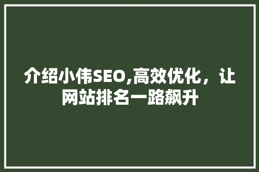 介绍小伟SEO,高效优化，让网站排名一路飙升