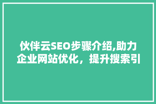 伙伴云SEO步骤介绍,助力企业网站优化，提升搜索引擎排名  第1张