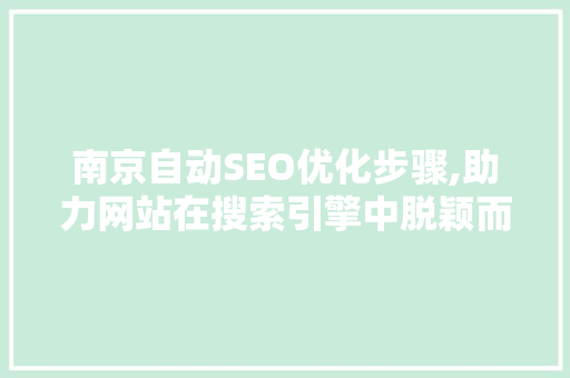 南京自动SEO优化步骤,助力网站在搜索引擎中脱颖而出