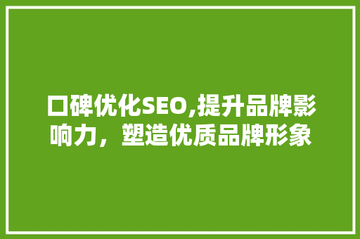 口碑优化SEO,提升品牌影响力，塑造优质品牌形象