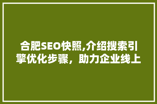 合肥SEO快照,介绍搜索引擎优化步骤，助力企业线上发展