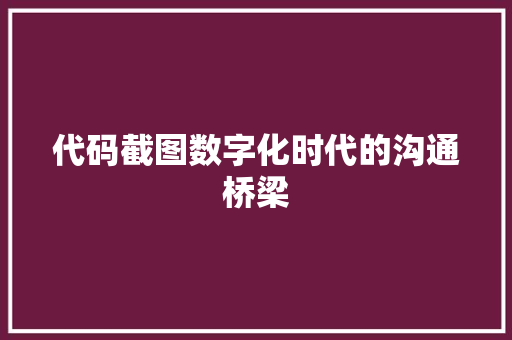 代码截图数字化时代的沟通桥梁