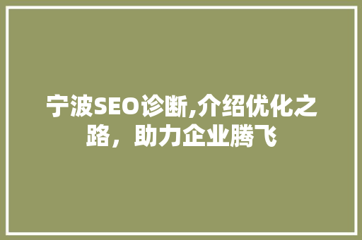 宁波SEO诊断,介绍优化之路，助力企业腾飞