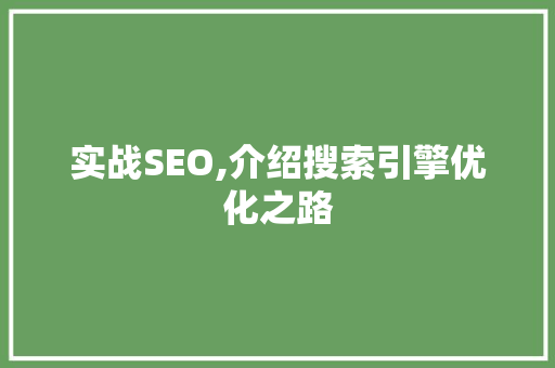 实战SEO,介绍搜索引擎优化之路