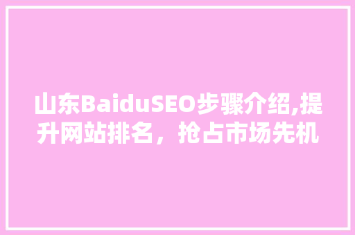 山东BaiduSEO步骤介绍,提升网站排名，抢占市场先机