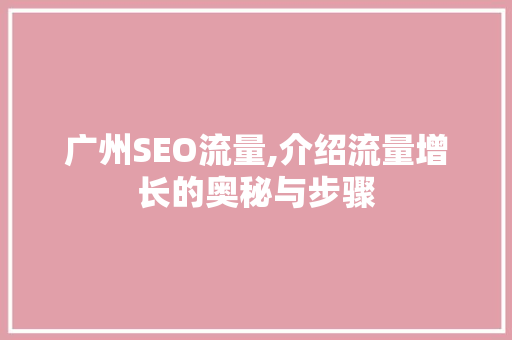 广州SEO流量,介绍流量增长的奥秘与步骤